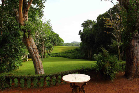 From Bentota or Beruwala: Geoffrey Bawa Country Estate Tour