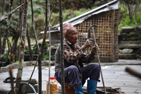 Pokhara: Senderismo de 4 días por Ghorepani, Poonhill y el pueblo de Ghandruk