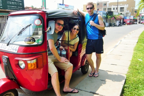 All inclusive - Tuk-Tuk Expedition to Visit Mihintale Standard option