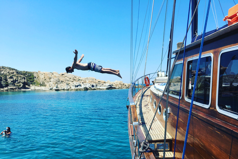 Mykonos : croisière aux îles de Délos et de Rhénanie avec repas barbecueCroisière sans transfert