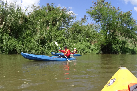 Chiang Mai: Natura e campagna in bicicletta per un'intera giornataVisita guidata in inglese