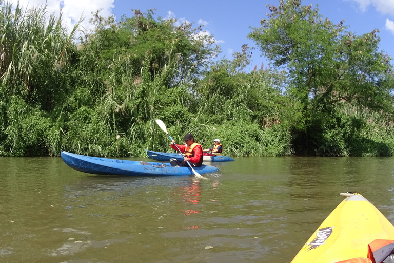 Chiang Mai: Natura e campagna in bicicletta per un'intera giornataVisita guidata in inglese