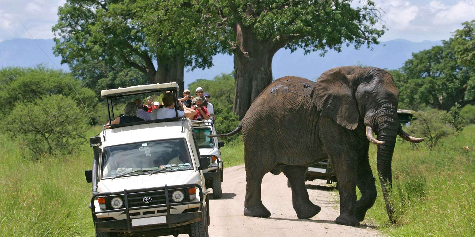 Nairobi: 4-Day Maasai Mara & Lake Nakuru Camping Safari | GetYourGuide