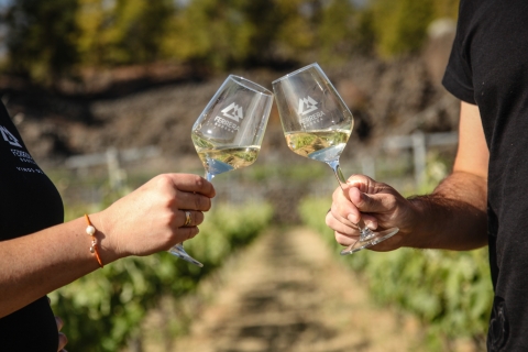 Tenerife : Visite d'un vignoble biologique avec dégustation de vinVisite guidée en espagnol