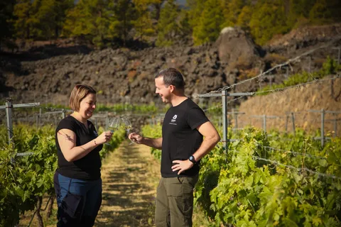 Tenerife: Tour of an Organic Vineyard with Tasting & Snacks