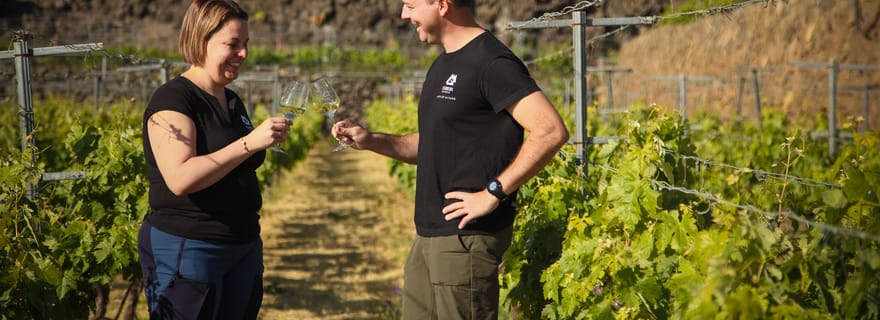 Tenerife : Visite d'un vignoble biologique avec dégustation et collations