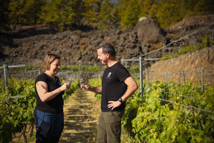 Teneriffa: Tour durch ein Bio-Weingut mit Verkostung und Snacks