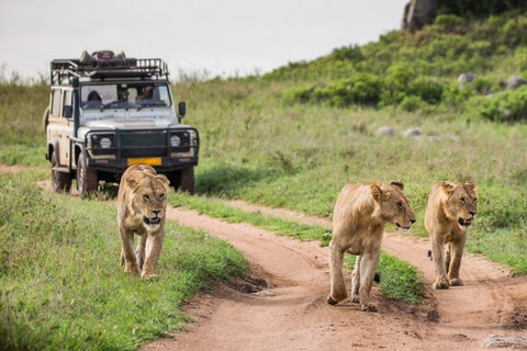 Nairobi: 3-Day Maasai Mara Group Tour with 4X4 Jeep SafariNairobi: 3-Day Masai Mara Camping Budget 4X4 Jeep Safari