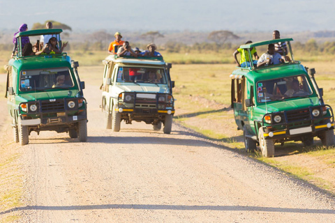 Nairobi: campamento de 3 días en grupo Maasai Mara o safari en el albergueNairobi: Safari Masai Mara Lodge de 3 días