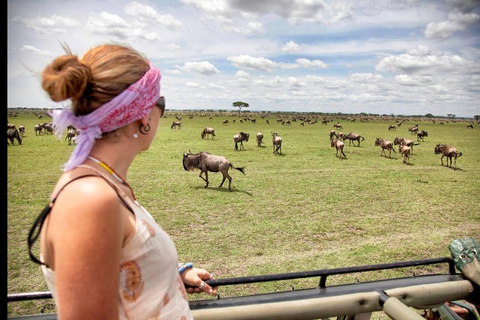 Nairobi: 3-Day Maasai Mara Group Tour with 4X4 Jeep SafariNairobi: 3-Day Masai Mara Camping Budget 4X4 Jeep Safari