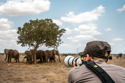 Nairobi: campamento de 3 días en grupo Maasai Mara o safari en el albergueNairobi: Safari Masai Mara Lodge de 3 días