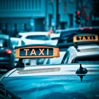Yala National Park, privé 1-way transfer naar Ella - Housity