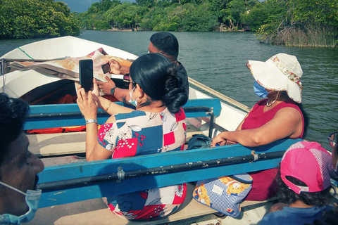 Praia da costa oeste, lagoa do rio Mangroves, passeio de barco pela vida selvagemMadu River Safari, Mangrove Lagoon e Bentota Boat Tour