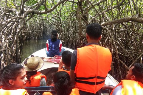Länsirannikon ranta, joki Mangroves laguuni, villieläimet veneellä Tour