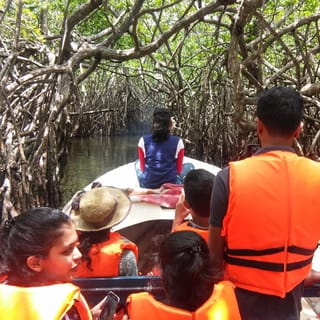 Colombo: Madu Ganga, Mangrove Lagoon & Bentota Boat Tour