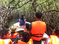 Costa Ovest Spiaggia, fiume Mangrovie laguna, Wildlife boat Tour - Hizvo