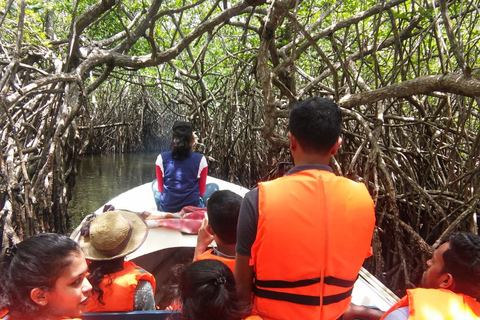 Stranden på västkusten, Mangroveflod i lagunen, båttur med vilda djur och växterMadu River Safari, Mangrove Lagoon &amp; Bentota Boat Tour