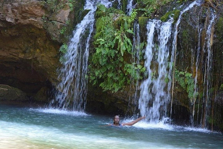 Nairobi: Caminhada pela Floresta Ngare Ndare e Canopy WalkNairobi: Caminhada pela Floresta Ngare Ndare e Passeio pela Copas das Árvores