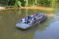 Leipzig, visite de la forêt riveraine sur le Pleiße - Hizvo