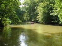 Leipzig, visite de la forêt riveraine sur le Pleiße - Hizvo