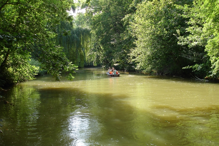 Leipzig: recorrido por el bosque junto al río en Pleiße
