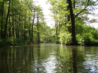 Leipzig, visite de la forêt riveraine sur le Pleiße - Hizvo