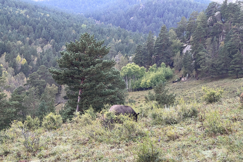 Paisagens Sagradas: Explorando Aglag Buteel