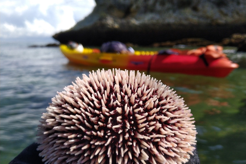 Premium All Inclusive Kayak&Coasteering&Snorkeling Full Day