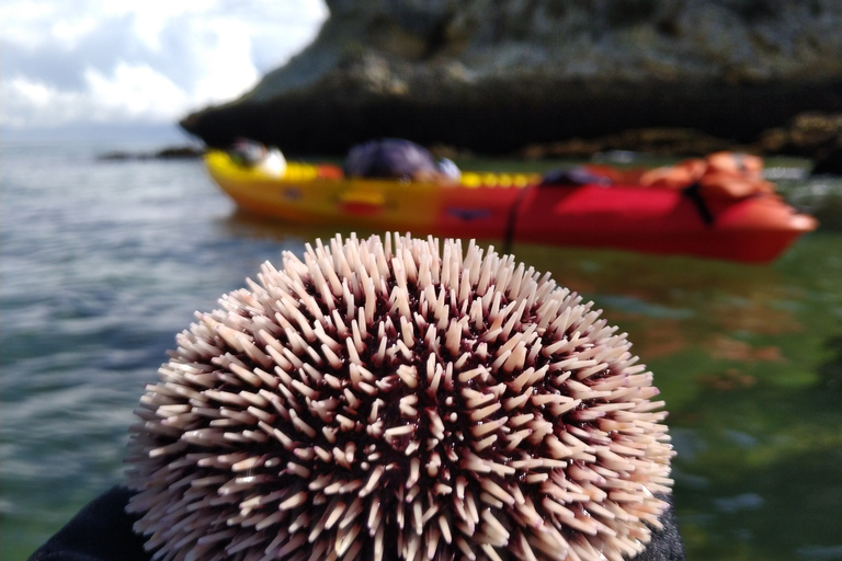 Premium All Inclusive Kayak&Coasteering&Snorkeling Full Day