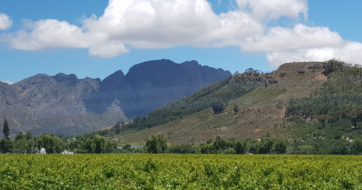 Von Kapstadt aus Stellenbosch Four Estate Ganztägige Weintour