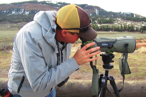 From West Yellowstone: Lamar Valley Wildlife Tour by Van
