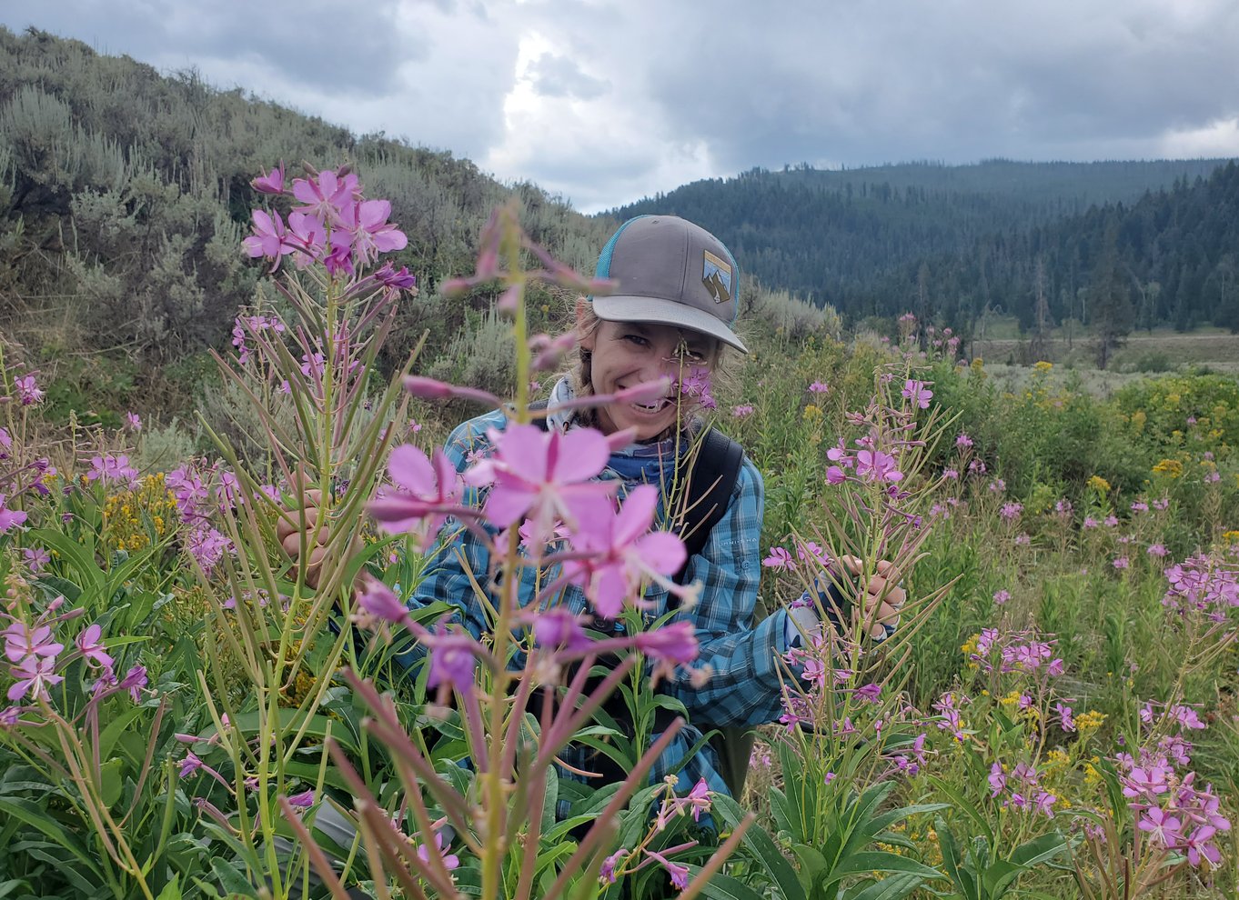 Lamar Valley: Safari-vandretur med frokost