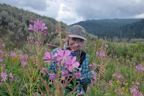 Lamar Valley: tour escursionistico safari con pranzoEscursione safari nella valle di Lamar con pranzo