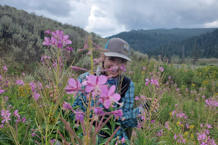 Lamar Valley: tour escursionistico safari con pranzoEscursione safari nella valle di Lamar con pranzo