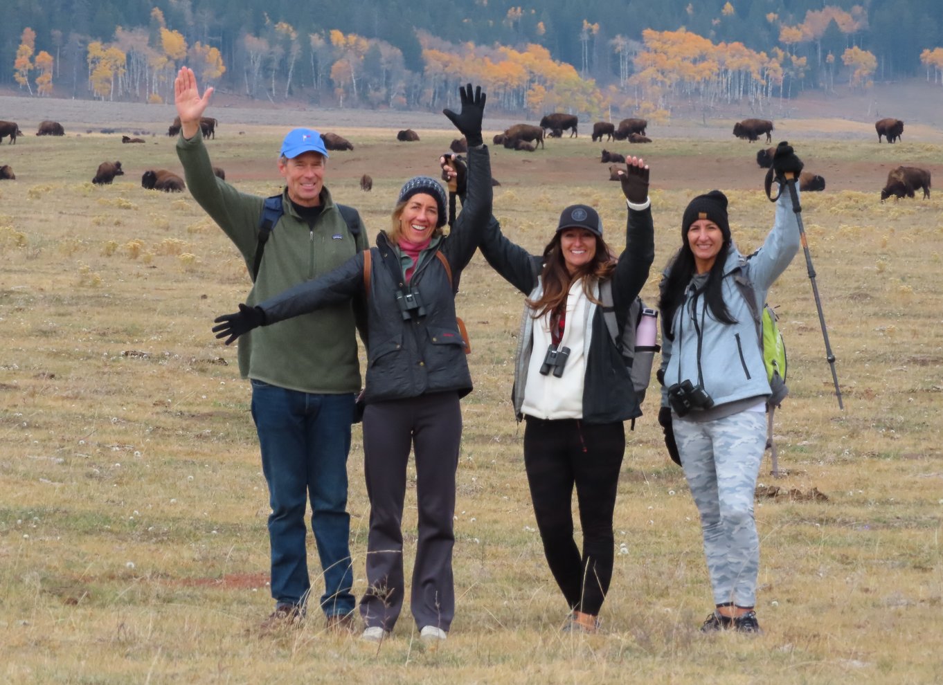 Lamar Valley: Safari-vandretur med frokost