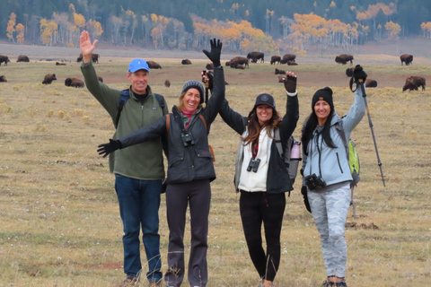 Lamar Valley: tour escursionistico safari con pranzoEscursione safari nella valle di Lamar con pranzo