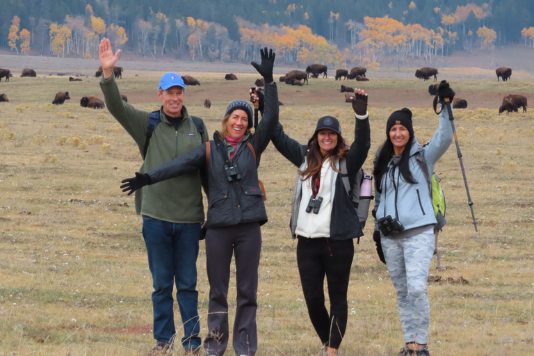 Lamar Valley: tour escursionistico safari con pranzoEscursione safari nella valle di Lamar con pranzo
