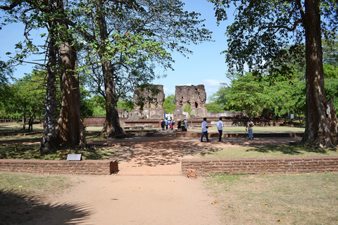 Colombo: 3-Day Cultural Triangle 5 UNESCO Heritage Site Tour