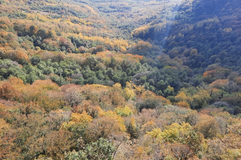 Tbilisi: wycieczka z przewodnikiem po jaskini i rezerwacie przyrody