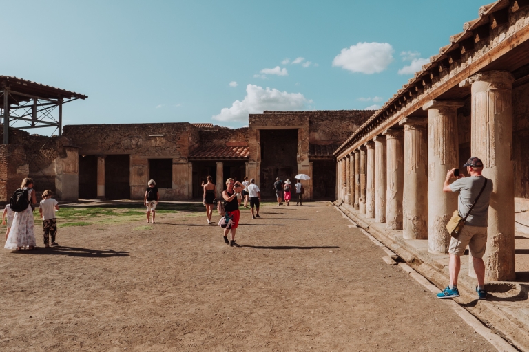 Pompéi : visite guidée de 2 h avec un archéologuePompéi : visite privée de 2 h avec un archéologue