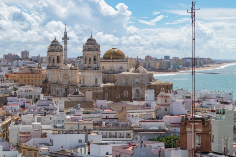 Van Sevilla: privé dagtocht naar Cádiz met gids