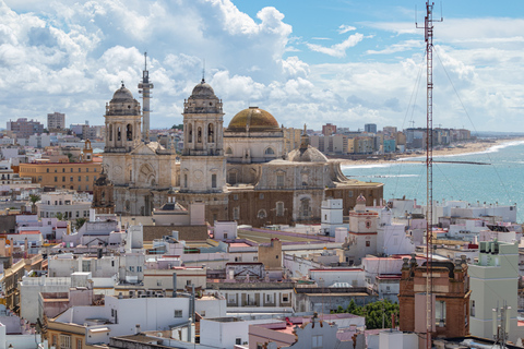 From Seville: Private Day Trip to Cádiz with Guide