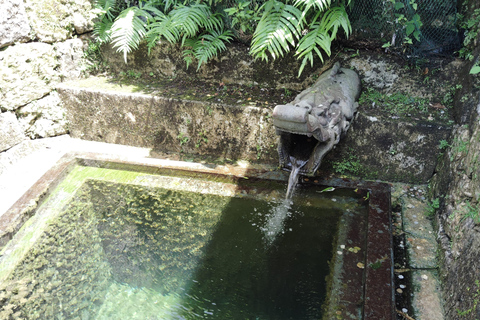 Naha: Shurijo Castle & Tamaudun Guided Walking Tour Morning visit