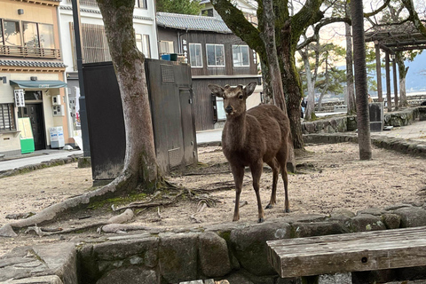 Hiroshima: visita al Parco del Memoriale della Pace e all&#039;Isola di MiyajimaHiroshima: persone con JR Pass o biglietti per il treno proiettile