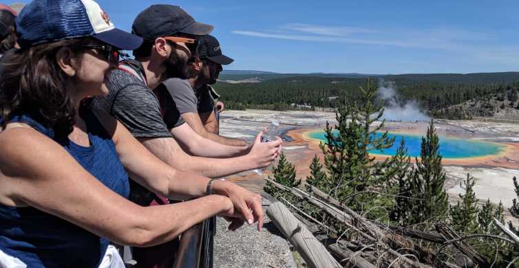 From West Yellowstone: Lower Loop Active Van Tour GetYourGuide