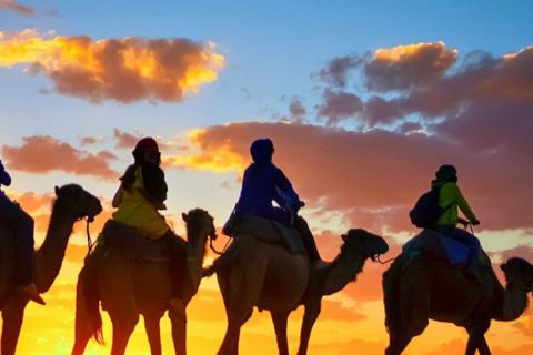 Agadir: Flamingo River Camel Ride with Barbecue Dinner