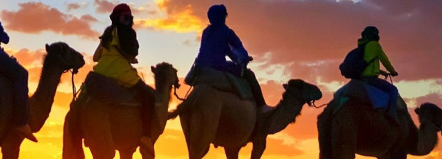 Агадир, Марокко: поездка на верблюде, фламинго, барбекю и кускус