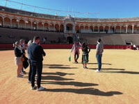Sevilla, Tour Guided Tour y Skip-the-línea - Housity