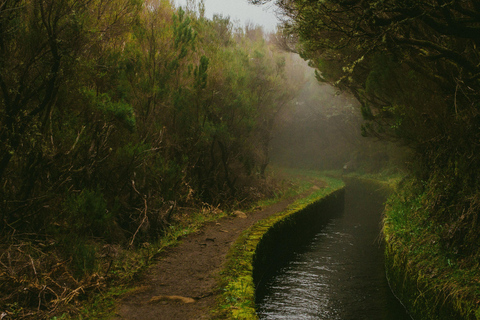 Rabaçal Nature Experience: Alecrim & Lagoa do Vento Hike
