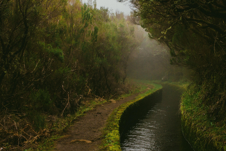 Rabaçal Nature Experience: Alecrim & Lagoa do Vento Hike